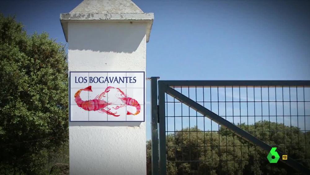 Los Bogavantes