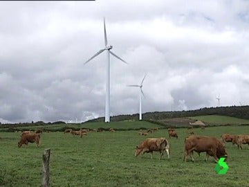 381 molinos de viento se han instalado en Muras