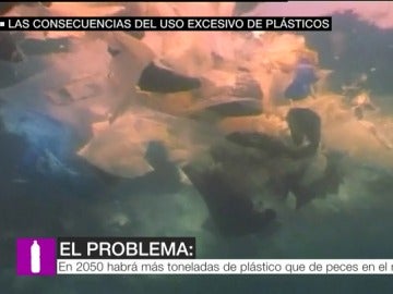 Plástico en el mar