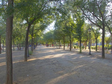 El parque Amate de Sevilla donde ha sido encontrado el cuerpo de la mujer El parque Amate de Sevilla donde ha sido encontrado el cuerpo de la mujer