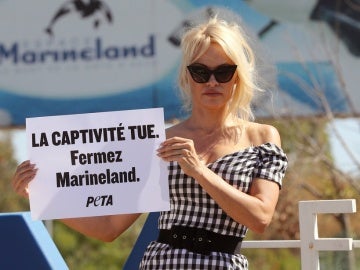 La actriz Pamela Anderson se manifiesta ante el parque marino Marineland La actriz Pamela Anderson se manifiesta ante el parque marino Marineland