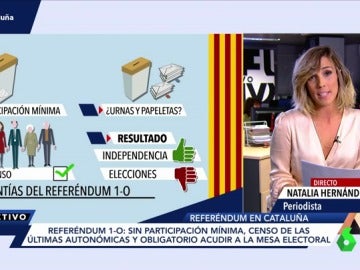 Garantías del referéndum Garantías del referéndum