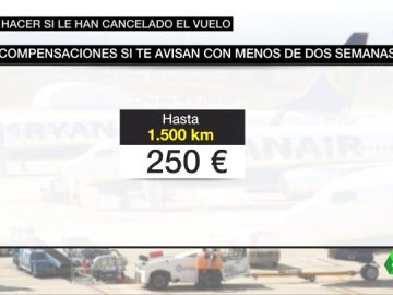 Estas son las compensaciones que le corresponden a los afectados por las cancelaciones de Ryanair Estas son las compensaciones que le corresponden a los afectados por las cancelaciones de Ryanair