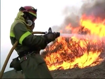 Un bombero intenta apagar uno de los incendios en Galicia Un bombero intenta apagar uno de los incendios en Galicia
