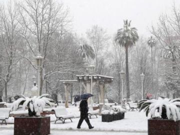 Vista de un parque en la capital vizcaína, una ciudad paralizada tras amanecer cubierta de nieve Vista de un parque en la capital vizcaína, una ciudad paralizada tras amanecer cubierta de nieve