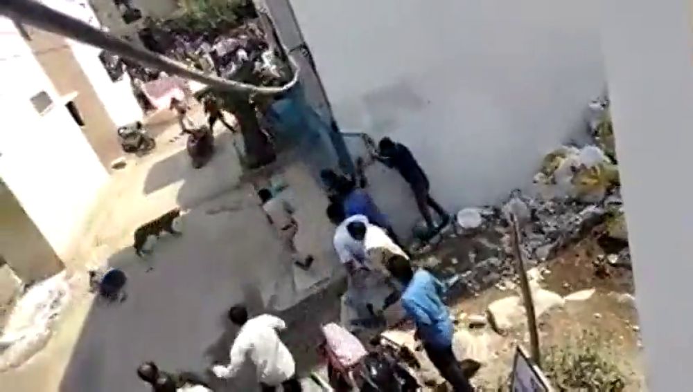 Un leopardo salvaje siembra el caos y el terror en una ciudad de la India
