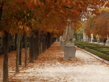 Vista del parque madrileño de El Retiro Vista del parque madrileño de El Retiro