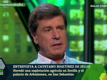 Cayetano Martínez de Irujo, conde de Salvatierra Cayetano Martínez de Irujo, conde de Salvatierra