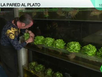 Mejor sabor, olor, textura, más limpio y ecológico: así es el cultivo hidropónico que cambia la tierra por agua Mejor sabor, olor, textura, más limpio y ecológico: así es el cultivo hidropónico que cambia la tierra por agua