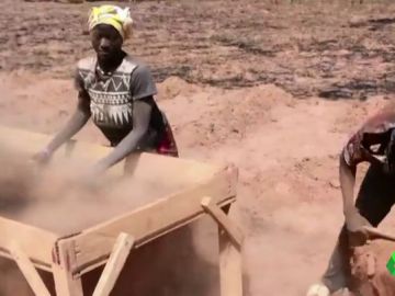 Trabajadores africanos de la chufa Trabajadores africanos de la chufa