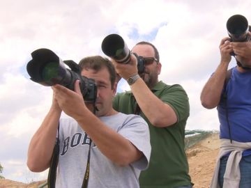 Spotters, coleccionistas de imágenes de aviones Spotters, coleccionistas de imágenes de aviones