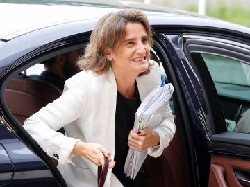 La ministra Teresa Ribera La ministra Teresa Ribera