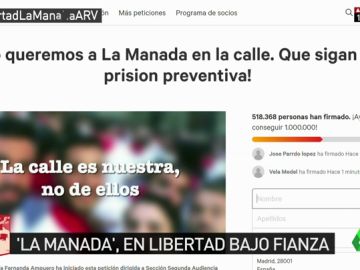 Más de medio millón de personas firman en menos de 24 horas para mantener a 'La Manada' en prisión Más de medio millón de personas firman en menos de 24 horas para mantener a 'La Manada' en prisión