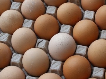 huevos huevos