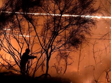 Un bombero intenta apagar un incendio Un bombero intenta apagar un incendio