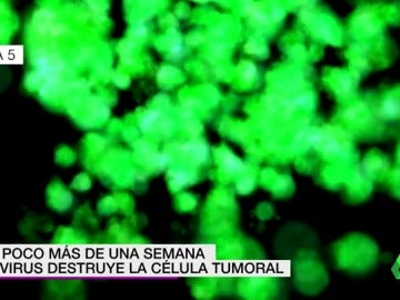 Frame 7.450573 de: CÃNCER