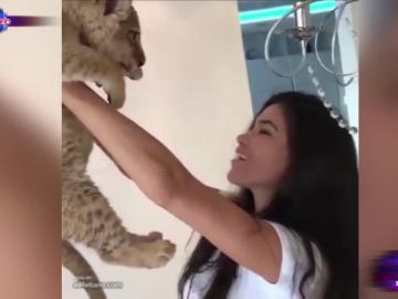 Una modelo recrea la escena de 'El rey león' Una modelo recrea la escena de 'El rey león'