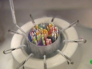 Proceso de vitrificación de óvulos Proceso de vitrificación de óvulos