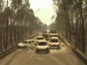 Nuevas imágenes del incendio de Portugal Nuevas imágenes del incendio de Portugal