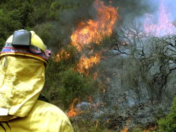 Incendio en Moguer Incendio en Moguer