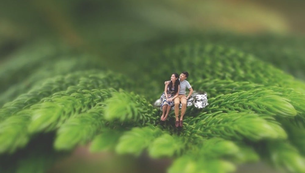 La joven pareja en miniatura sentados sobre una rama de un árbol