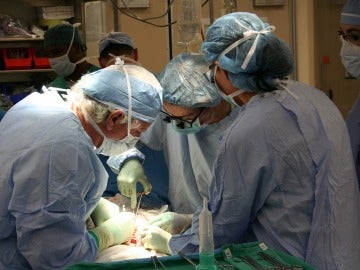 Ya hay 338.000 donantes de médula en España Ya hay 338.000 donantes de médula en España