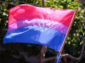 Imagen de archivo de una bandera bisexual Imagen de archivo de una bandera bisexual