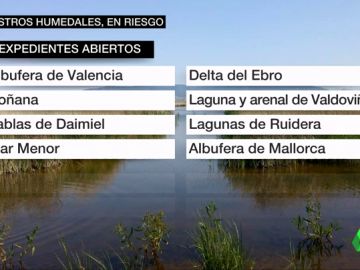 humedales humedales