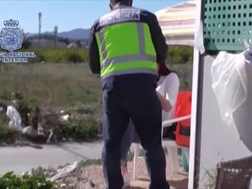 La Policía Nacional rescata a una mujer con discapacidad intelectual que era obligada a prostituirse en Murcia La Policía Nacional rescata a una mujer con discapacidad intelectual que era obligada a prostituirse en Murcia