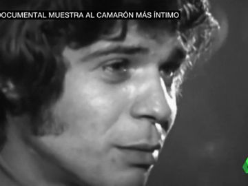 camaron camaron
