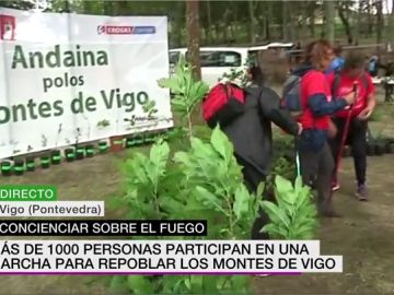 Más de 1.000 personas participan en una marcha para pedir repoblar los bosques de Vigo Más de 1.000 personas participan en una marcha para pedir repoblar los bosques de Vigo