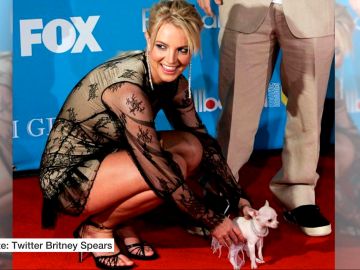 Britney Spears y su perro con un collar de Swarovski Britney Spears y su perro con un collar de Swarovski