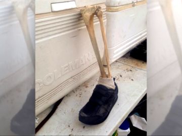 Resuelto el misterio de los pies humanos en zapatillas aparecidos en las costas de Canadá Resuelto el misterio de los pies humanos en zapatillas aparecidos en las costas de Canadá