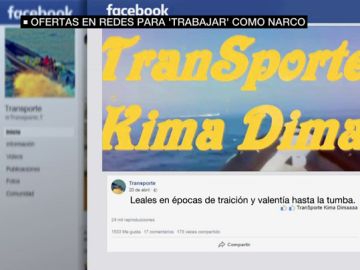 Ofertas para trabajar como narco Ofertas para trabajar como narco