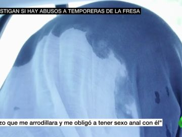 "Hizo que me arrodillara y me obligó a tener sexo anal con él": una jornalera de Huelva denuncia los abusos sexuales de su capataz "Hizo que me arrodillara y me obligó a tener sexo anal con él": una jornalera de Huelva denuncia los abusos sexuales de su capataz