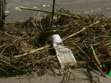 Más de 10.000 voluntarios limpian de basura varios puntos de Epaña Más de 10.000 voluntarios limpian de basura varios puntos de Epaña