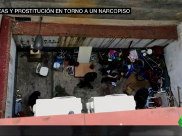 narcopiso narcopiso