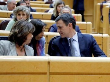 Pedro Sánchez en el Senado Pedro Sánchez en el Senado