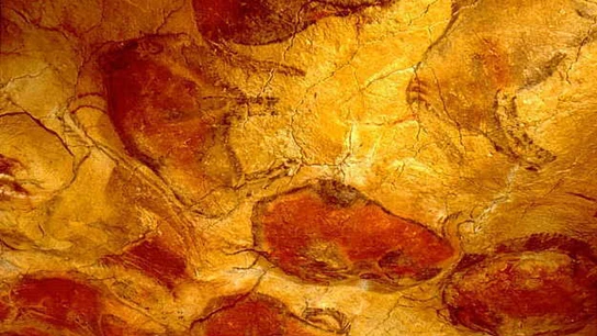 Cuevas de Altamira Cuevas de Altamira