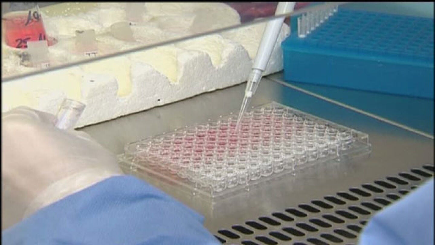 Investigadores desarrollando un f&aacute;rmaco