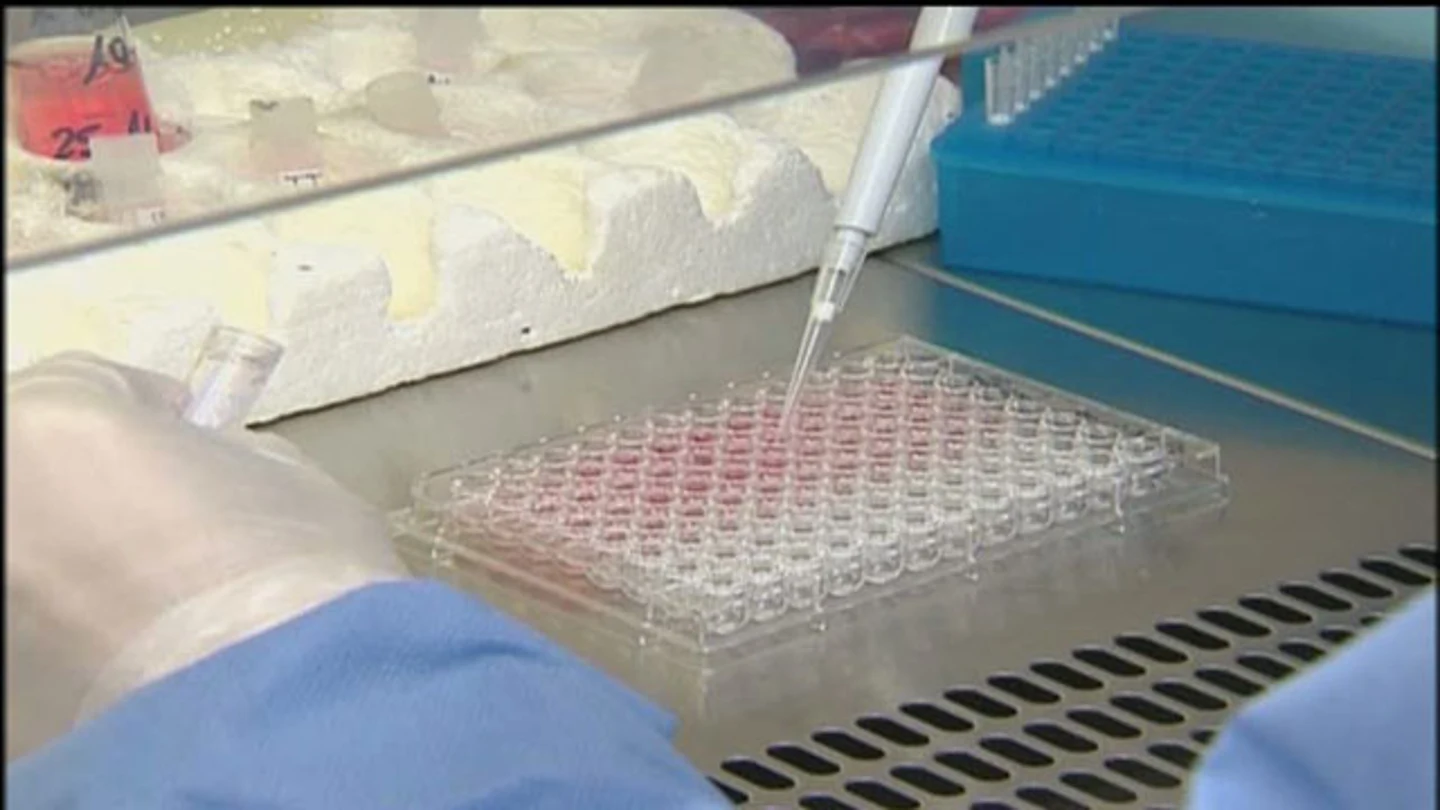Investigadores desarrollando un fármaco Investigadores desarrollando un fármaco