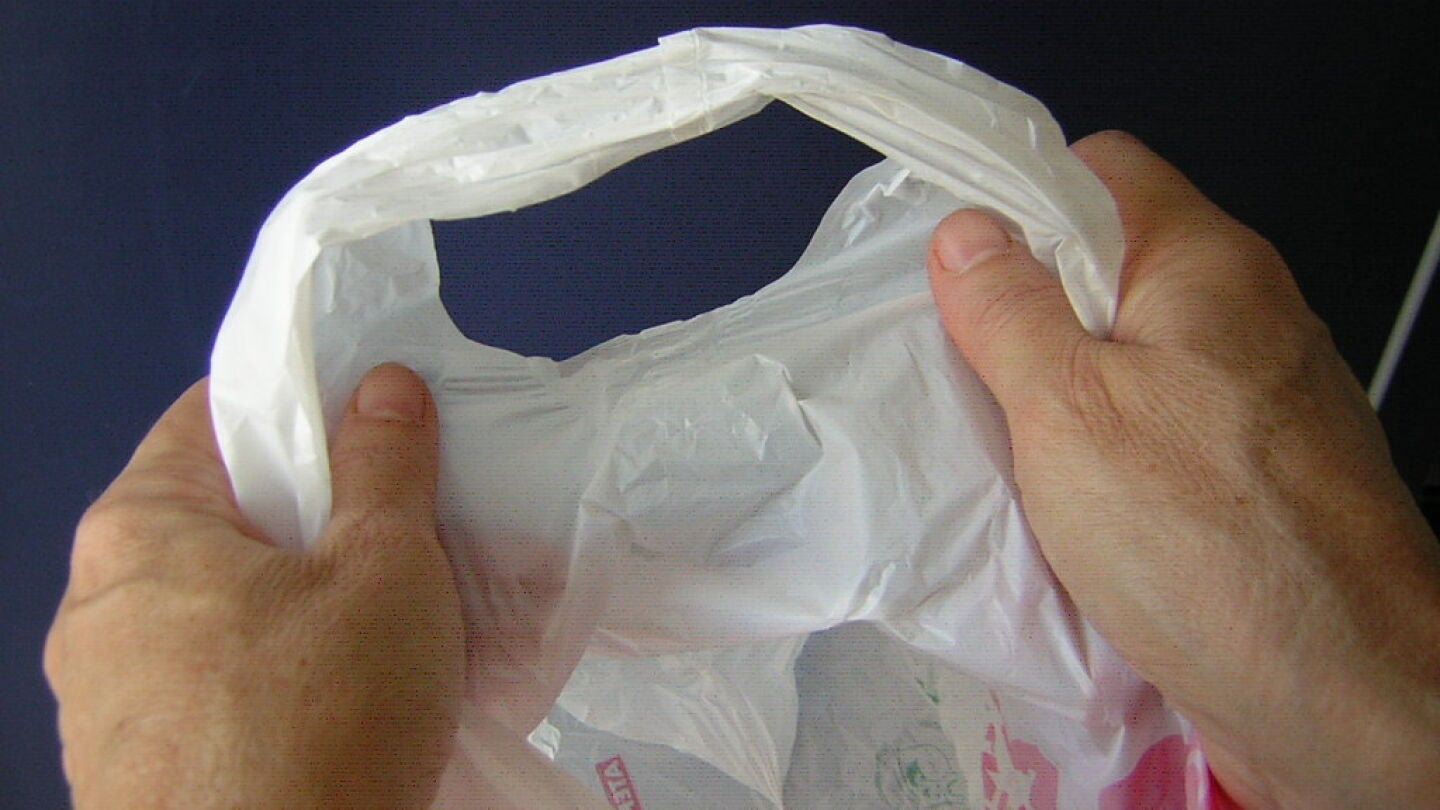 Bolsa de pl&aacute;stico