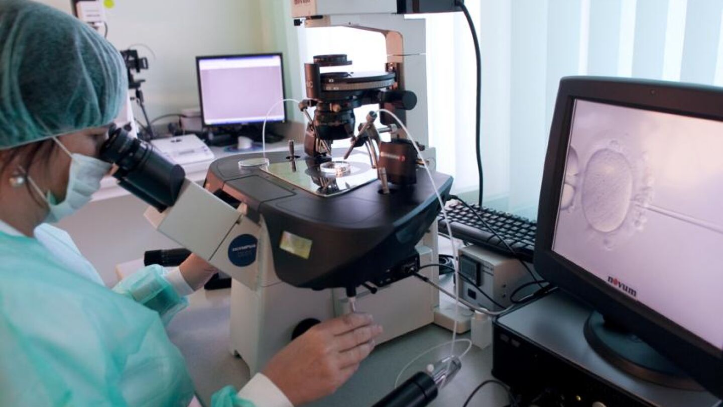 Fecundaci&oacute;n in vitro