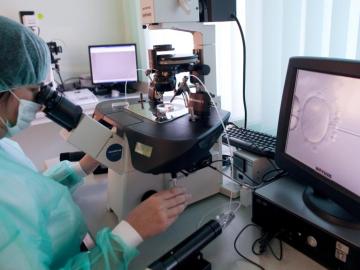 Fecundación in vitro Fecundación in vitro