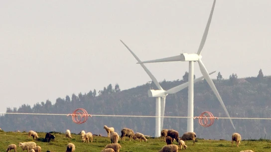 Molinos de viento Molinos de viento
