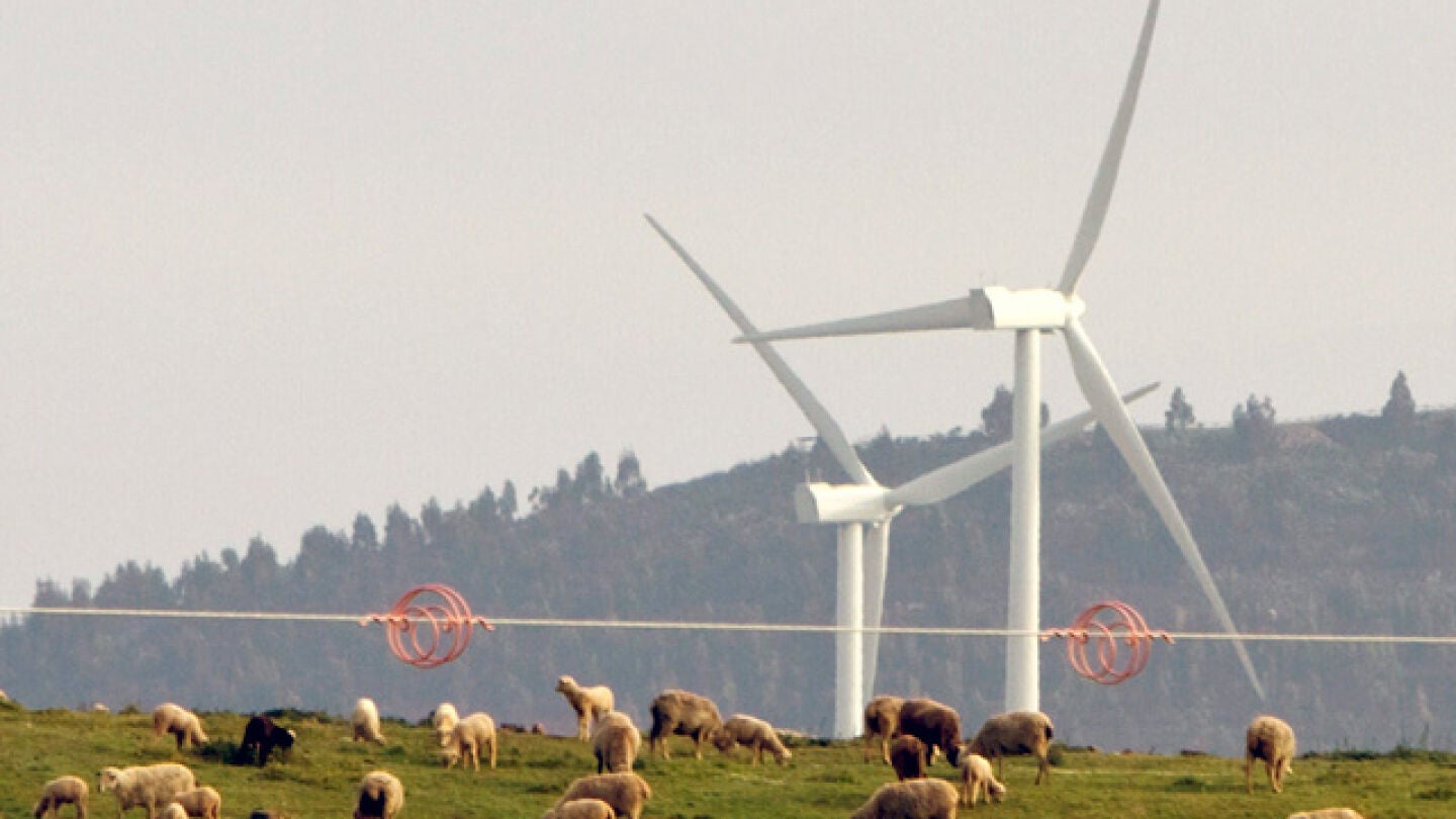 Molinos de viento