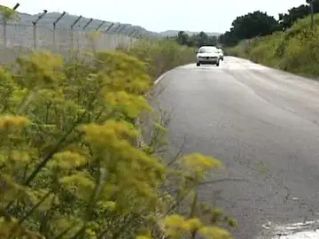 Amenazados por el cemento y el asfalto Amenazados por el cemento y el asfalto