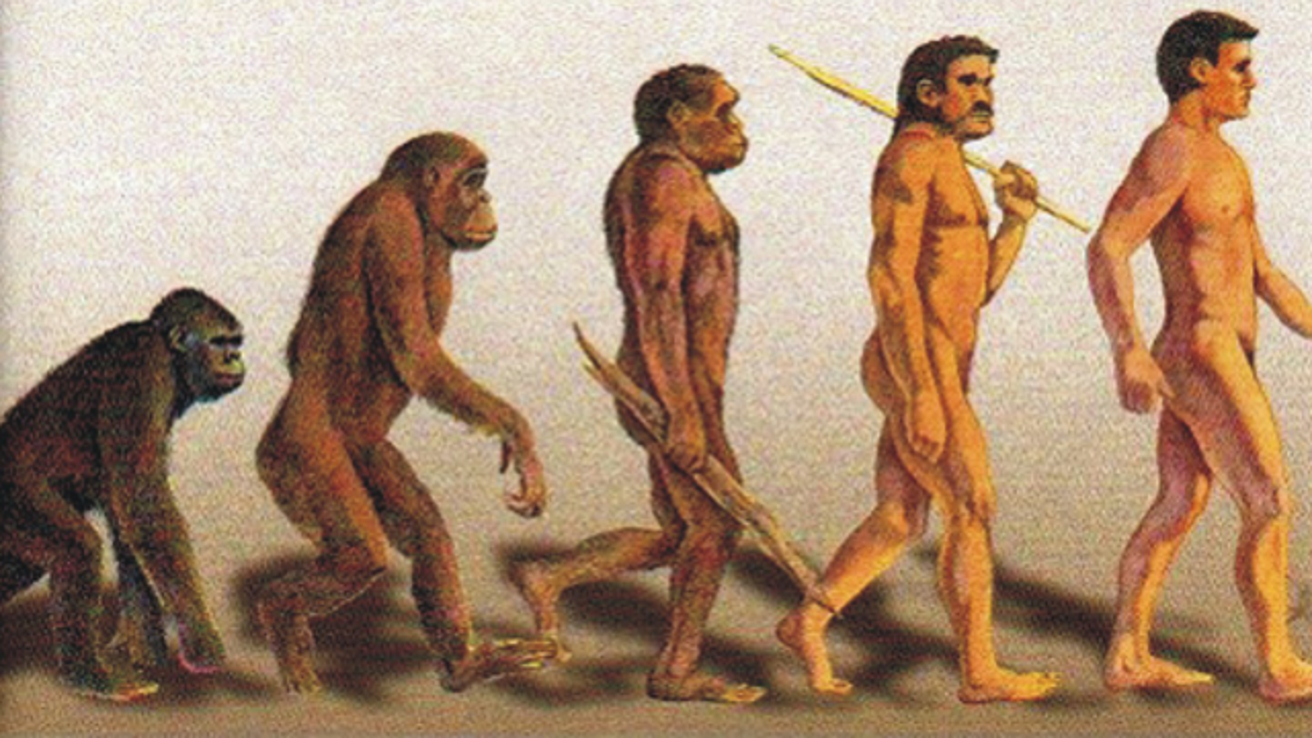 Evolución del ser humano