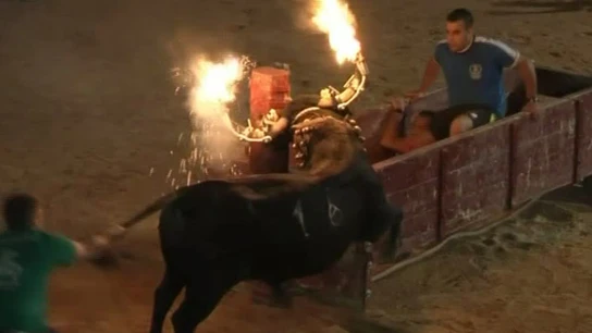 Imagen de un toro con bolas de fuego en los cuernos Imagen de un toro con bolas de fuego en los cuernos