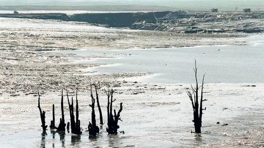 Vertido tóxico en Aznalcóllar, Sevilla Vertido tóxico en Aznalcóllar, Sevilla